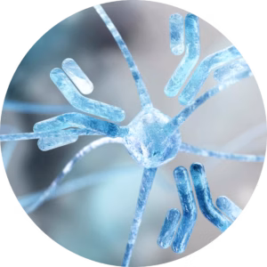 First-in-class, oral peptide, icotrokinra shows superior efficacy in ICONIC-ADVANCE trials for plaque psoriasis